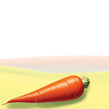 carrot