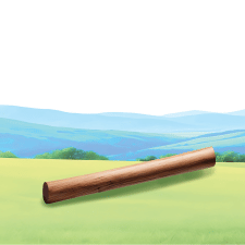 Wooden Stick